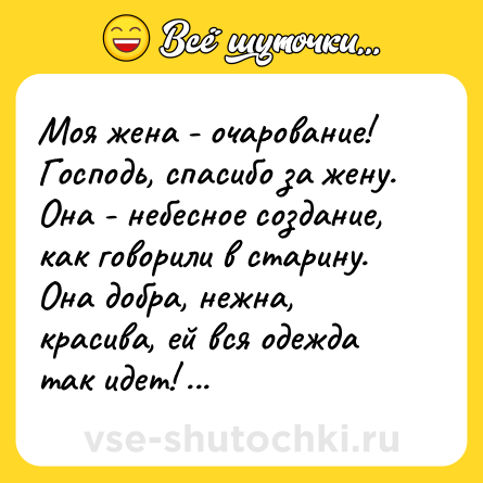 Шутка: Моя жена - очарование! Господь, спасибо за жену. Она - небесное создание, как говорили в старину. Она добра, нежна, красива, ей вся одежда так идет! Попробуй я сказать другое - она... мне голову свернет!