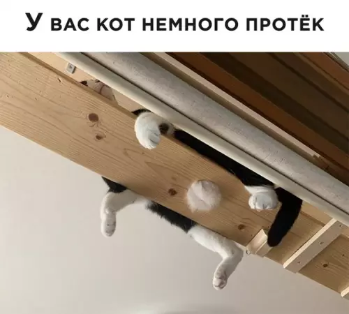 Смешная картинка №505899