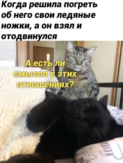 Смешная картинка №668799