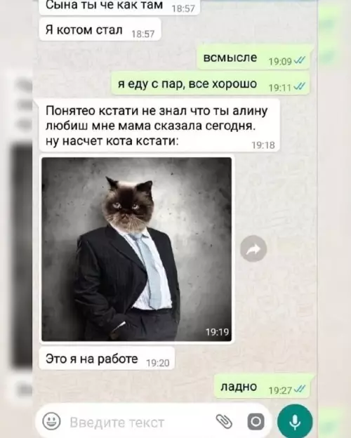 Когда мама всё узнала 😹💼 - Сына ты че как там Я котом стал всмысле я