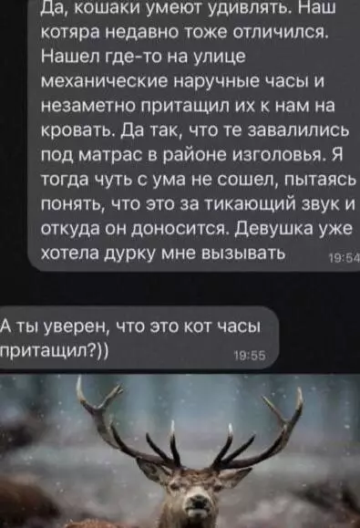 Смешная картинка №716077