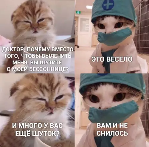 Смешная картинка №718804