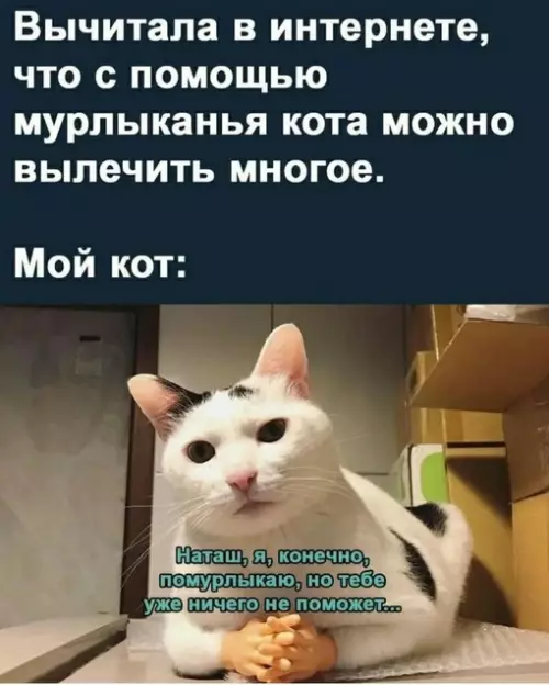Смешная картинка №680986
