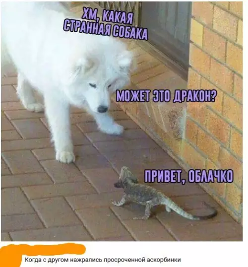 Смешная картинка №255666