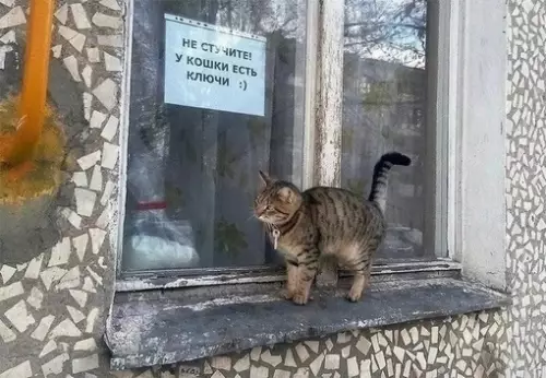 Смешная картинка №698662 Даже у котика есть ключи.