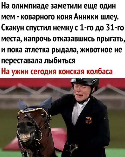 Смешная картинка №589644 Конь знает, что он никому ничего не должен Животные
