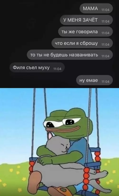Смешная картинка №704698 Это было важное сообщение