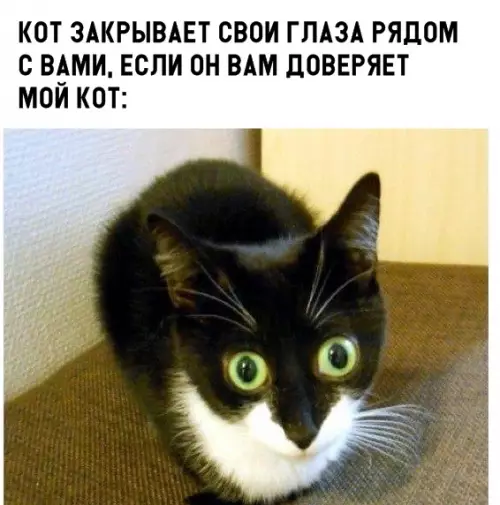 Смешная картинка №297590