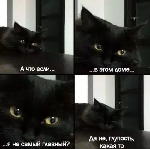 Смешная картинка №226856