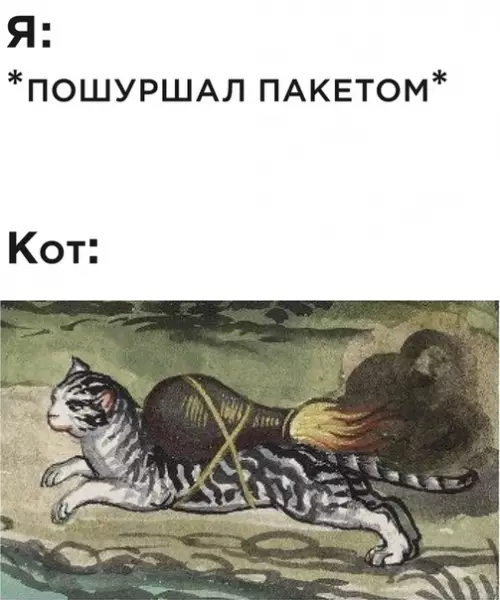 Смешная картинка №511091