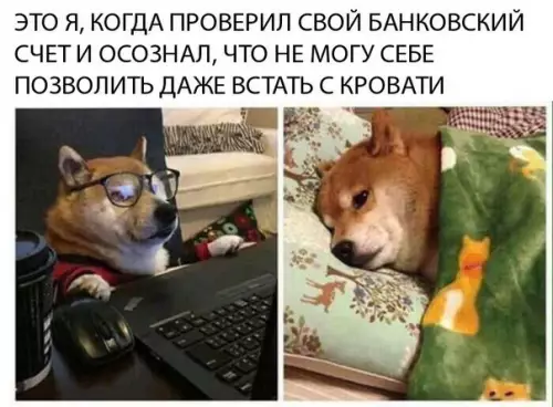 Смешная картинка №264478