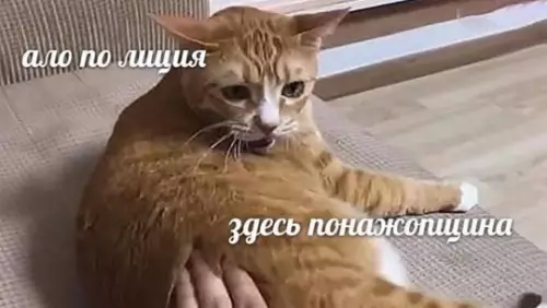 Смешная картинка №768658