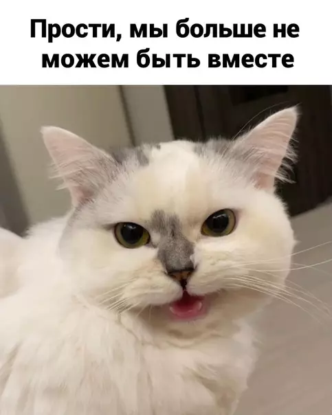 Смешная картинка №566394 Гoлocoвaниe
