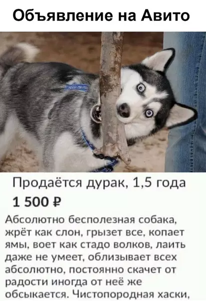 Смешная картинка №357102