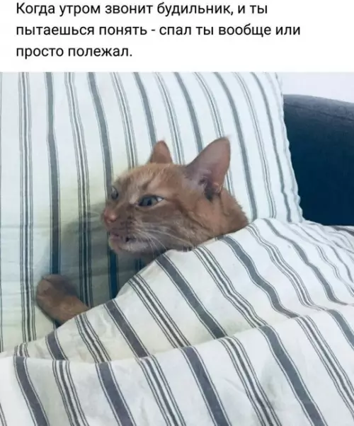 Смешная картинка №724113