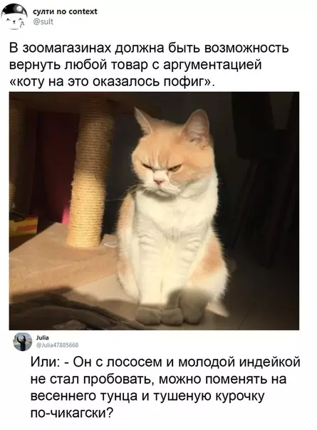 Смешная картинка №530451 Kpик дyши кoшaтнuкa
