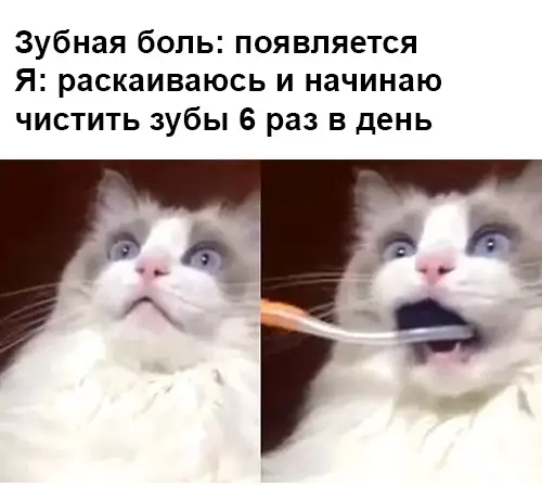 Смешная картинка №458869