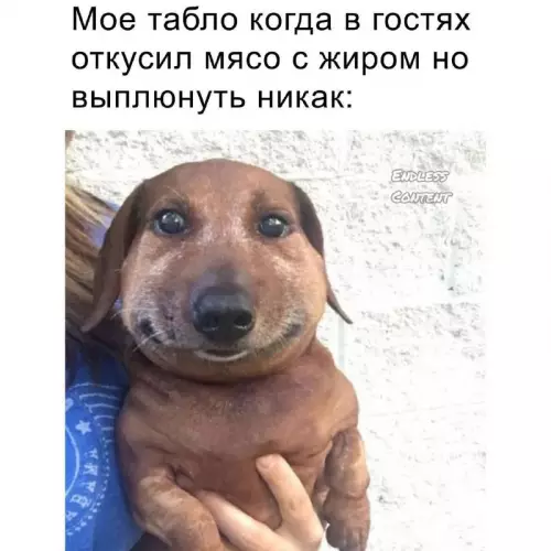 Смешная картинка №727149