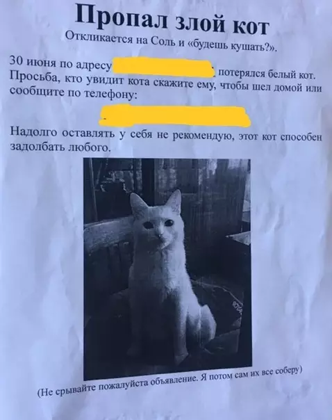 Смешная картинка №286985 Пропал злодей