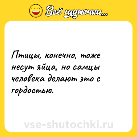 Шутка: Птицы, конечно, тоже несут яйца, но самцы человека делают это с гордостью.