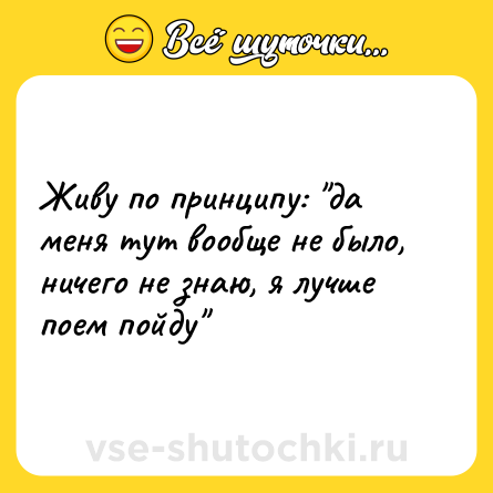 Шутка: Живу по принципу: 