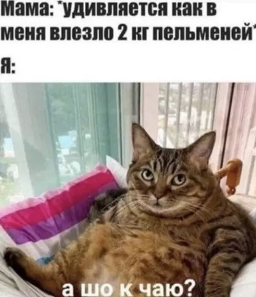 Смешная картинка №536493