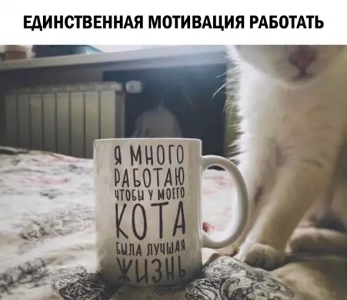 Смешная картинка №497925 Действительно