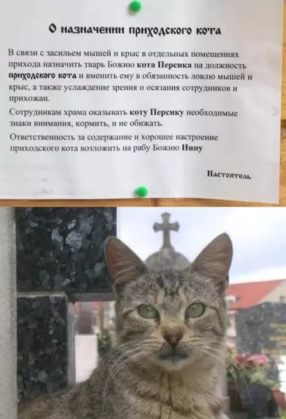 Смешная картинка №370794