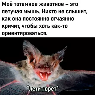 Смешная картинка №712871