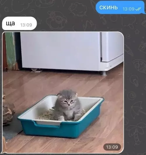 продолжение Смешная картинка №593946 Красиво придумал) переписка, подруги, приколы