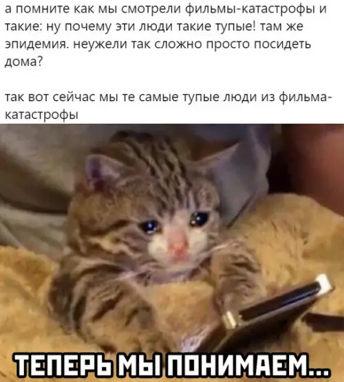 Смешная картинка №480091