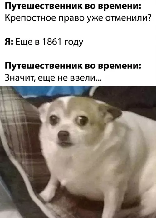Смешная картинка №632332