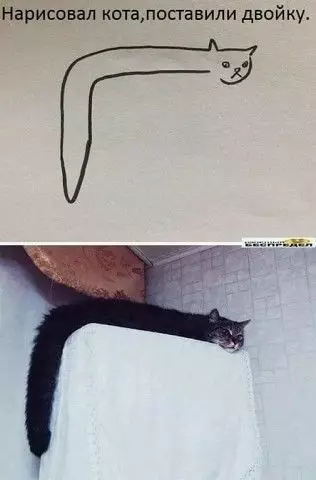 Смешная картинка №386883 Ученик нарисовал кота. Поставили двойку , не понимает- почему?