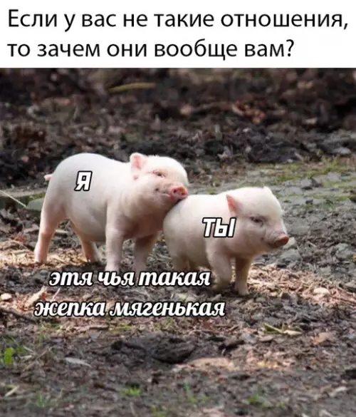 Смешная картинка №491879