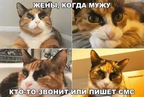 Смешная картинка №213581