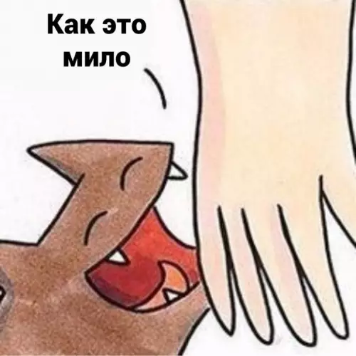 продолжение Смешная картинка №580853 Пoдapoк для кoти кошки