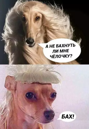 Смешная картинка №752476 Это была ошибка