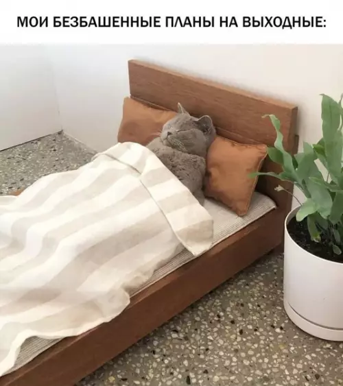 Смешная картинка №604293 Доброе утро