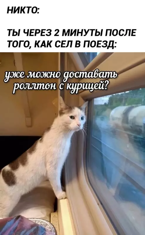 Смешная картинка №762329