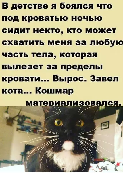 Смешная картинка №543720 Беда пришла откуда не ждали