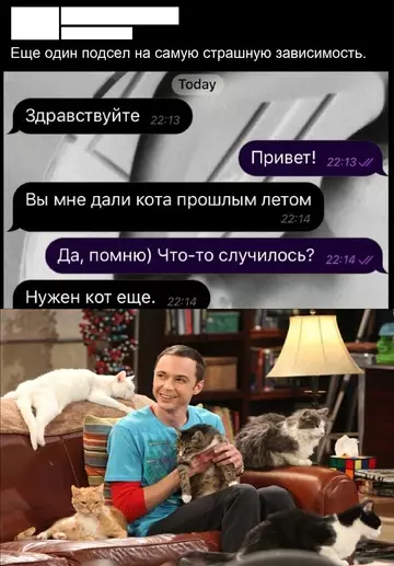 Смешная картинка №751277