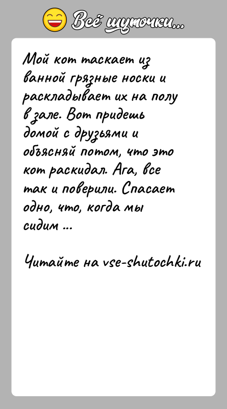 История: Мой кот таскает из ванной грязные носки и раскладывает их на полу в зале. Вот придешь домой с друзьями и