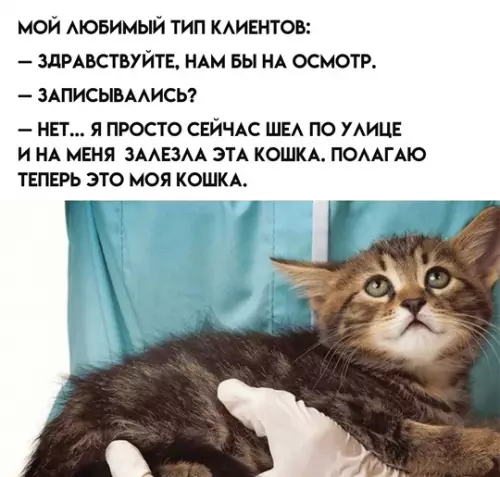 Смешная картинка №764515
