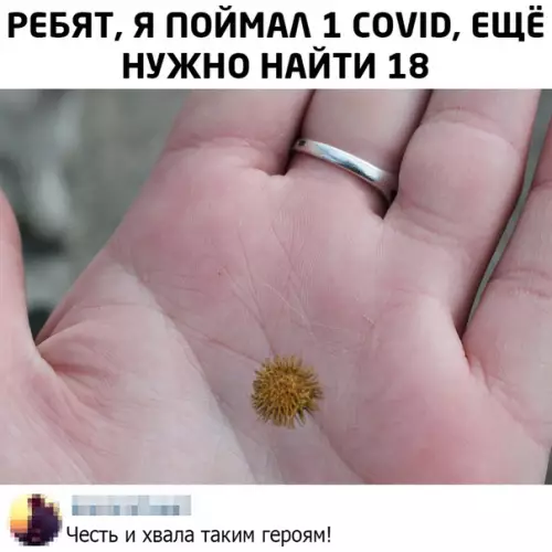 Смешная картинка №484666 Было бы смешно, если бы не было так страшно