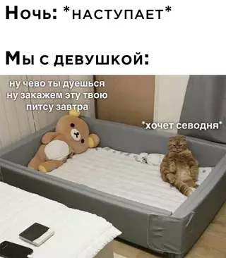 Смешная картинка №653250