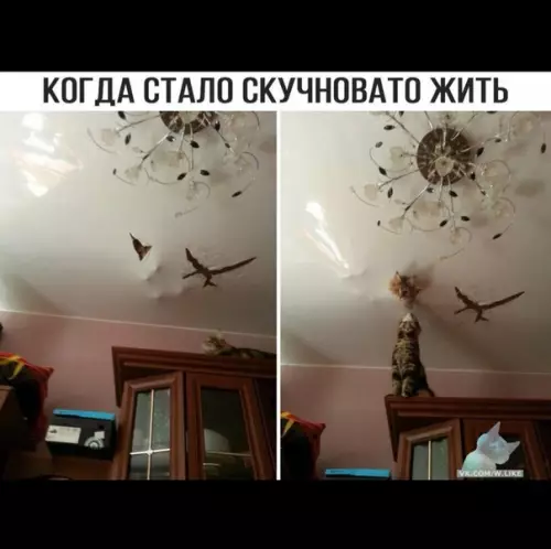 Смешная картинка №366302