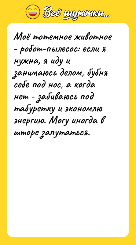 Моё тотемное животное - робот-пылесос: если я нужна, я иду