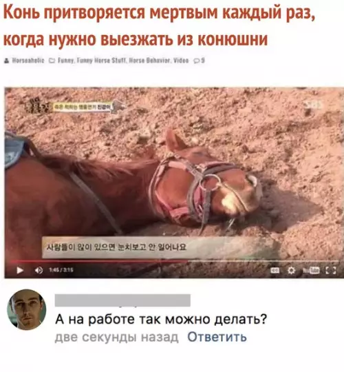 Смешная картинка №279848 работа