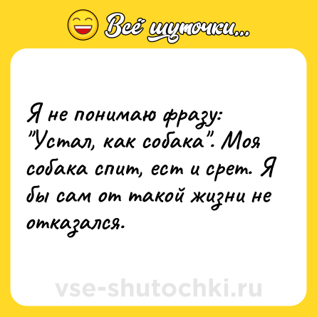 Шутка: Я не понимаю фразу: 