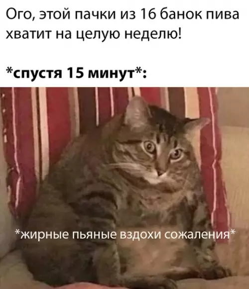 Смешная картинка №489086